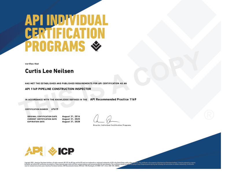 Actual API 1169 document for Curtis Neilsen